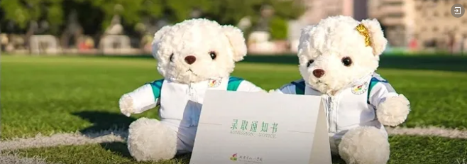 八一国际部--世界名校offer背后的精兵战略！(图4)